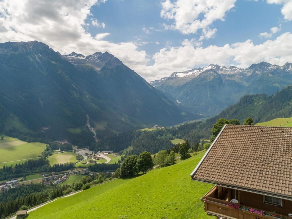 Summer, View (from property/room)