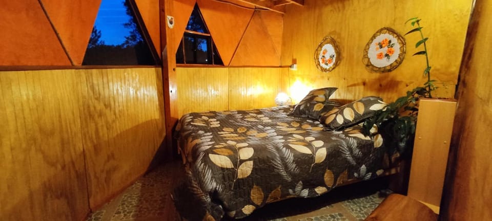 Domo Vive Pellaifa Apartment in Los Ríos, Chile