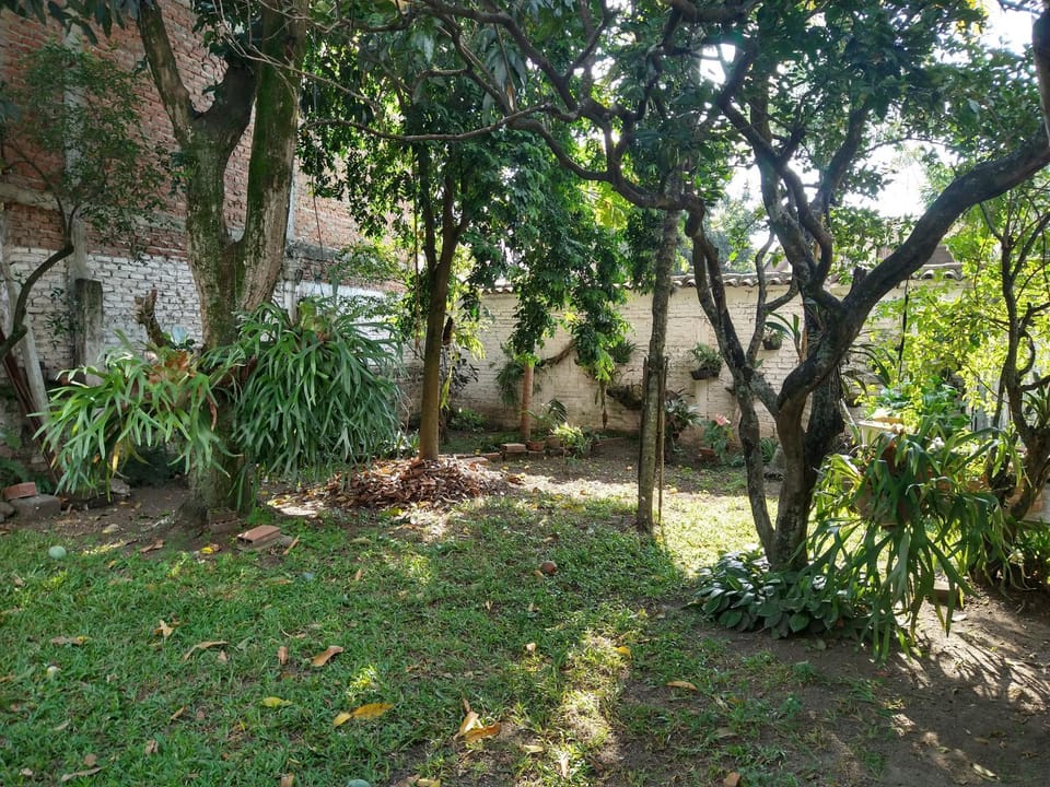 Patio, Balcony/Terrace