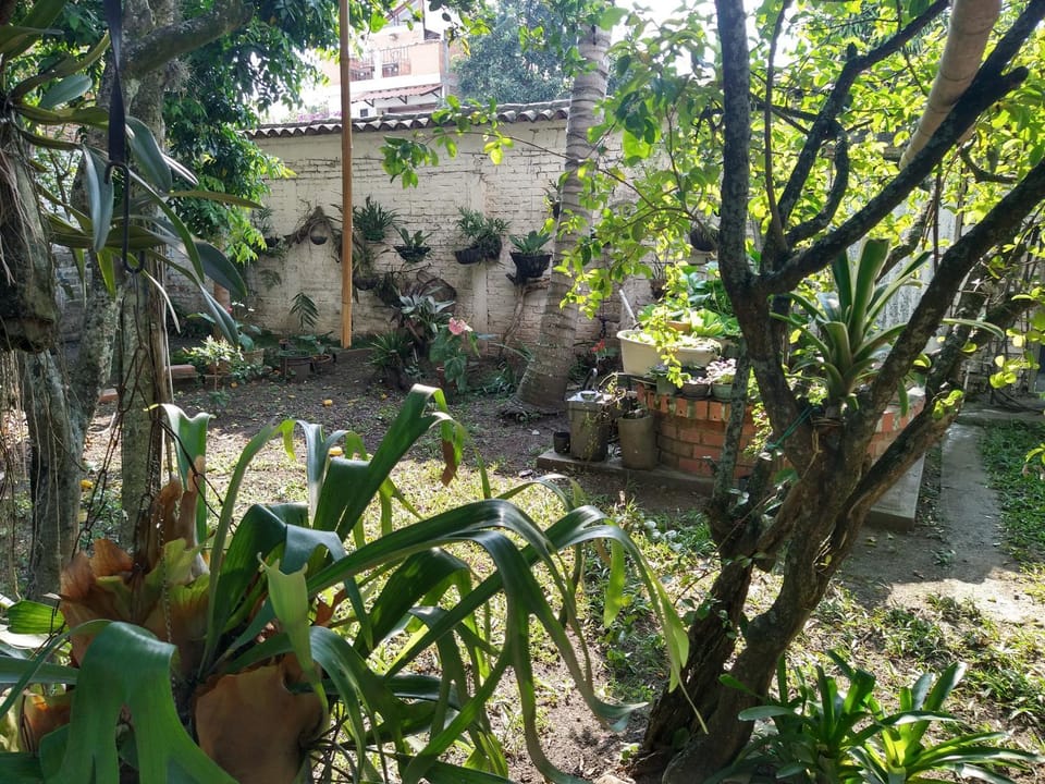 Inner courtyard view