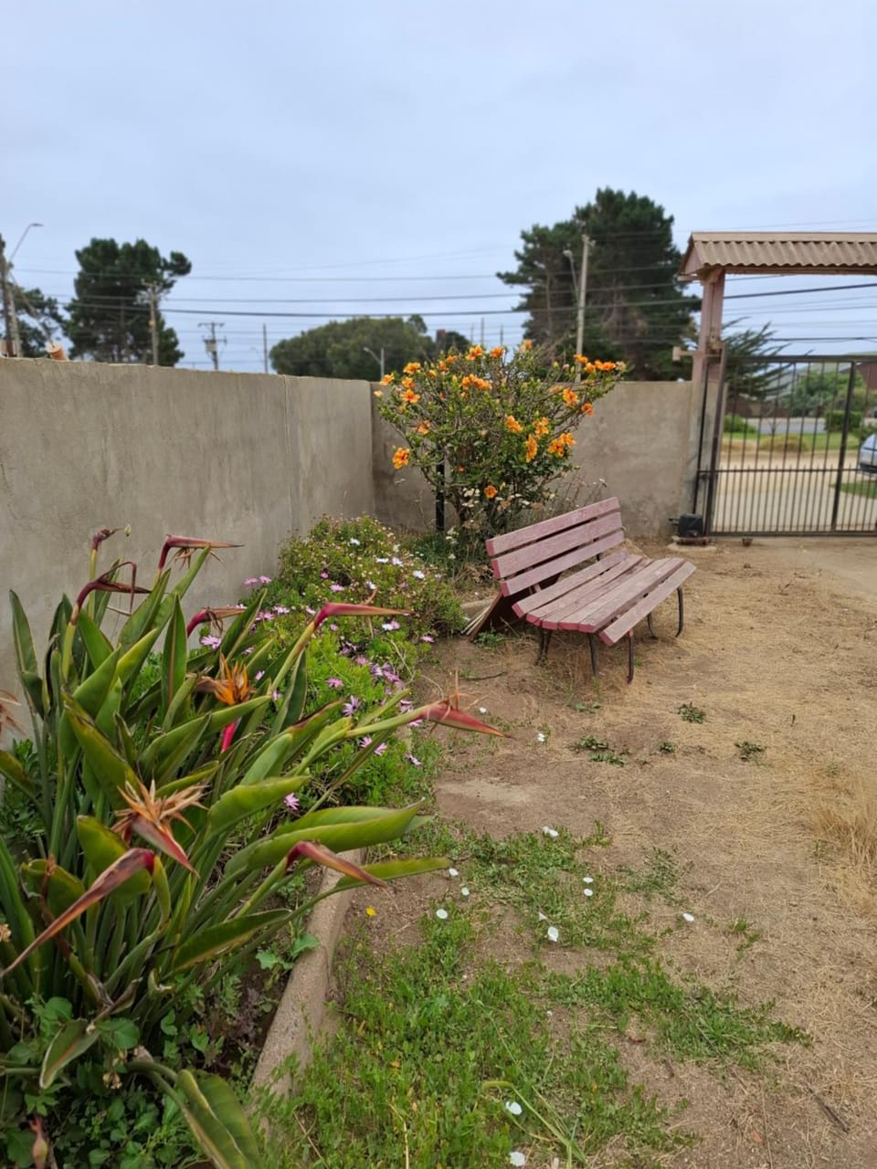 Garden view