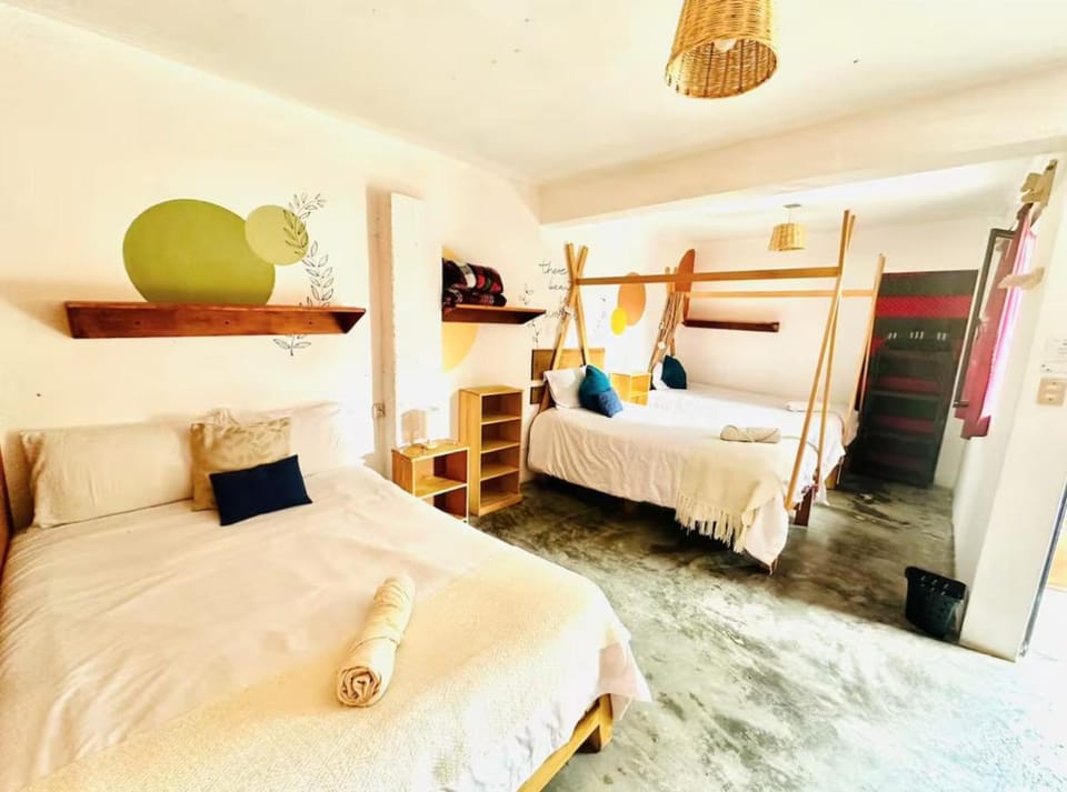 Casa Sofia Guest House Hostel in San Cristobal de Casas