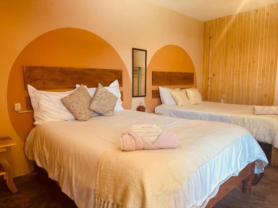 Casa Sofia Guest House Hostel in San Cristobal de Casas