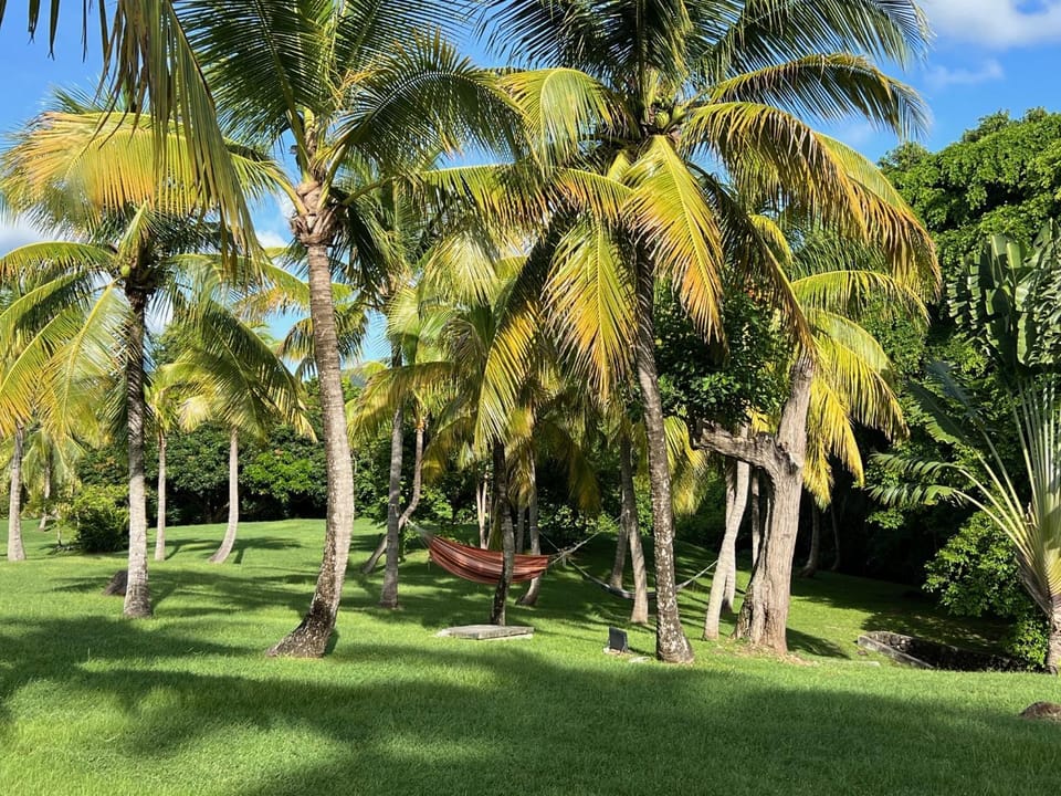 Natural landscape, Garden, Garden view