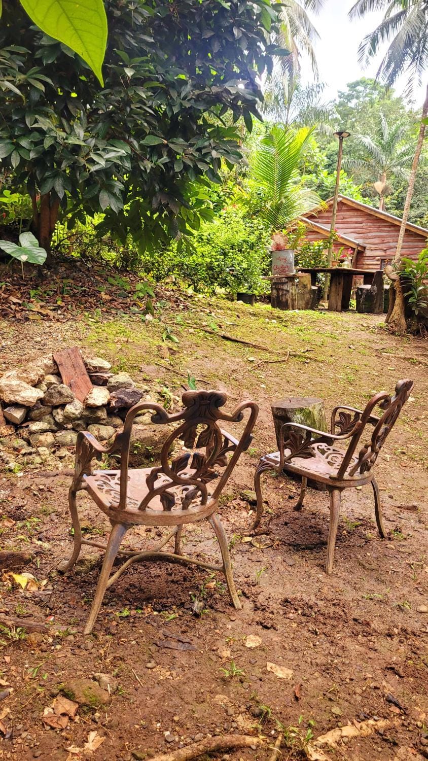 Ecoscape Jamaica - Lavish 1-br cottage by the river Nature lodge in St. Ann Parish