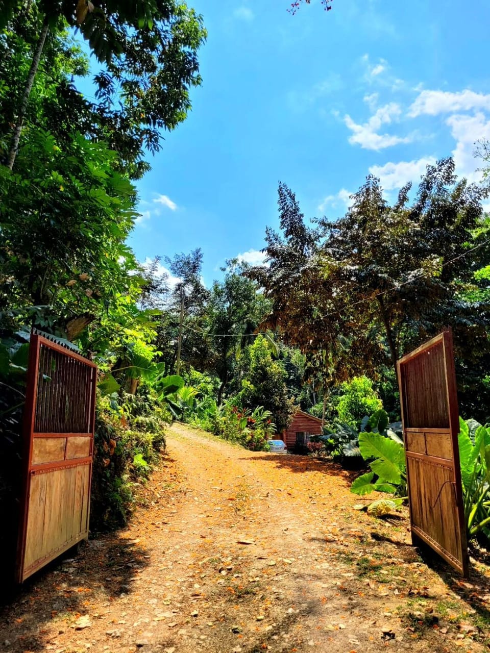 Day, Natural landscape