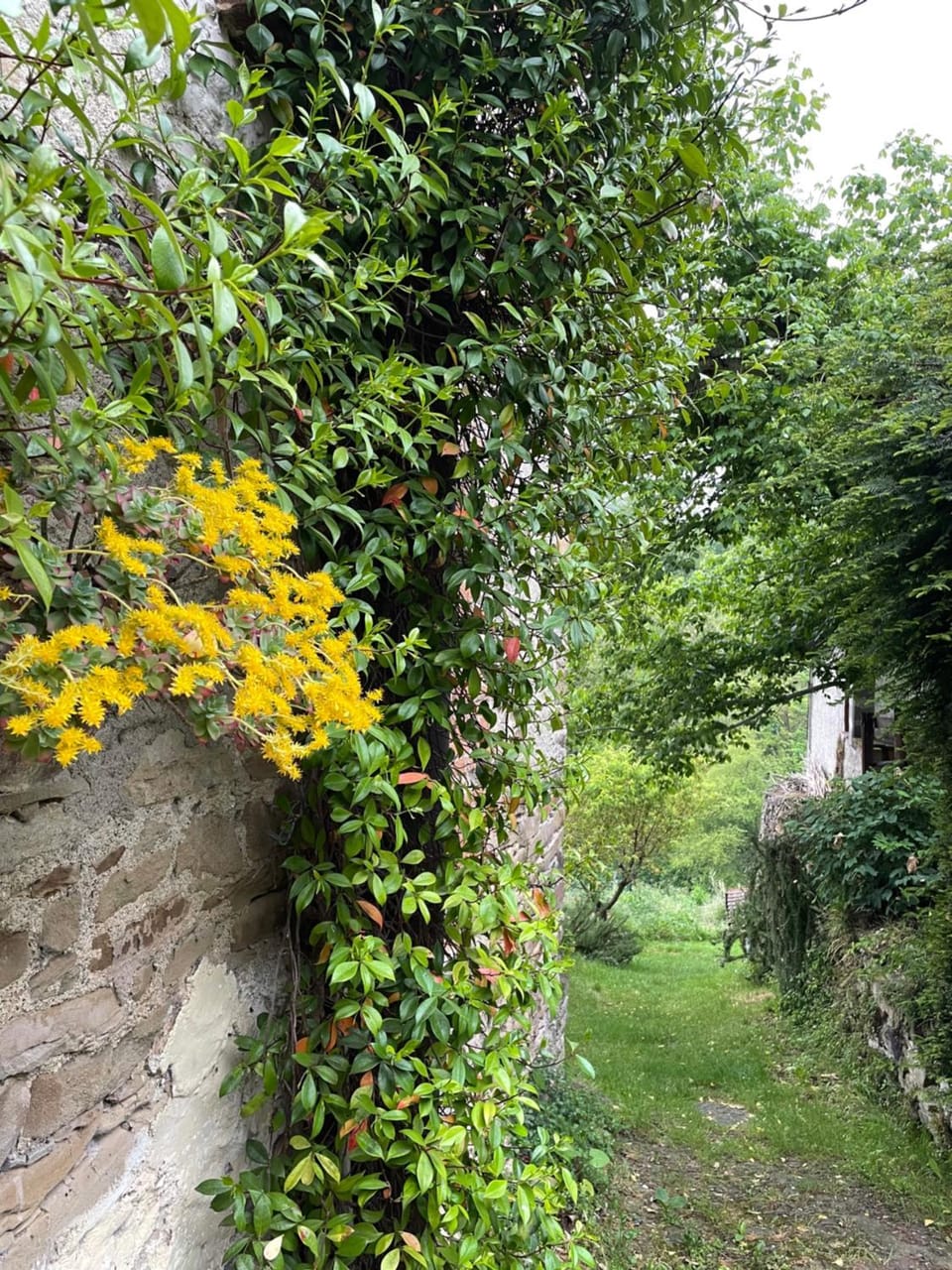 Orbregno Country Houses with Personal Wine Cellar House in Piedmont