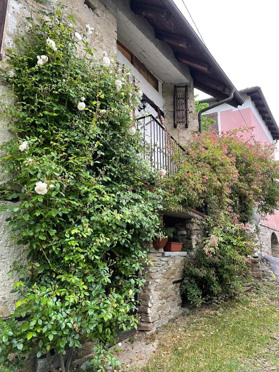 Orbregno Country Houses with Personal Wine Cellar House in Piedmont