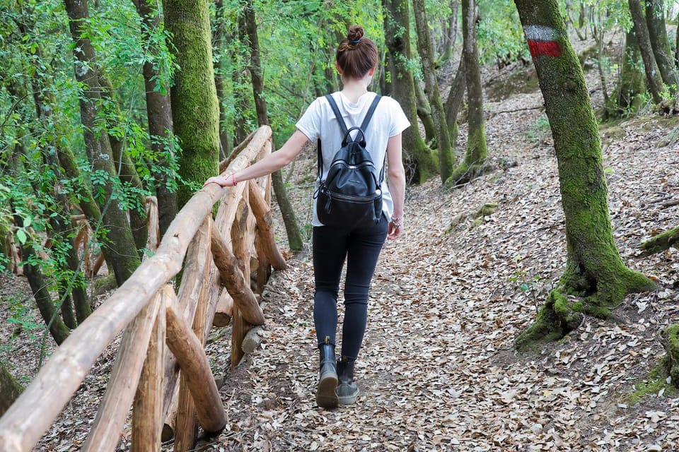 Natural landscape, Hiking, Animals