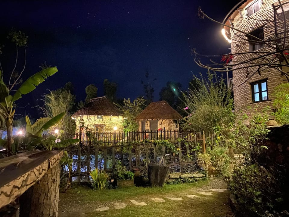 Property building, Night, Garden