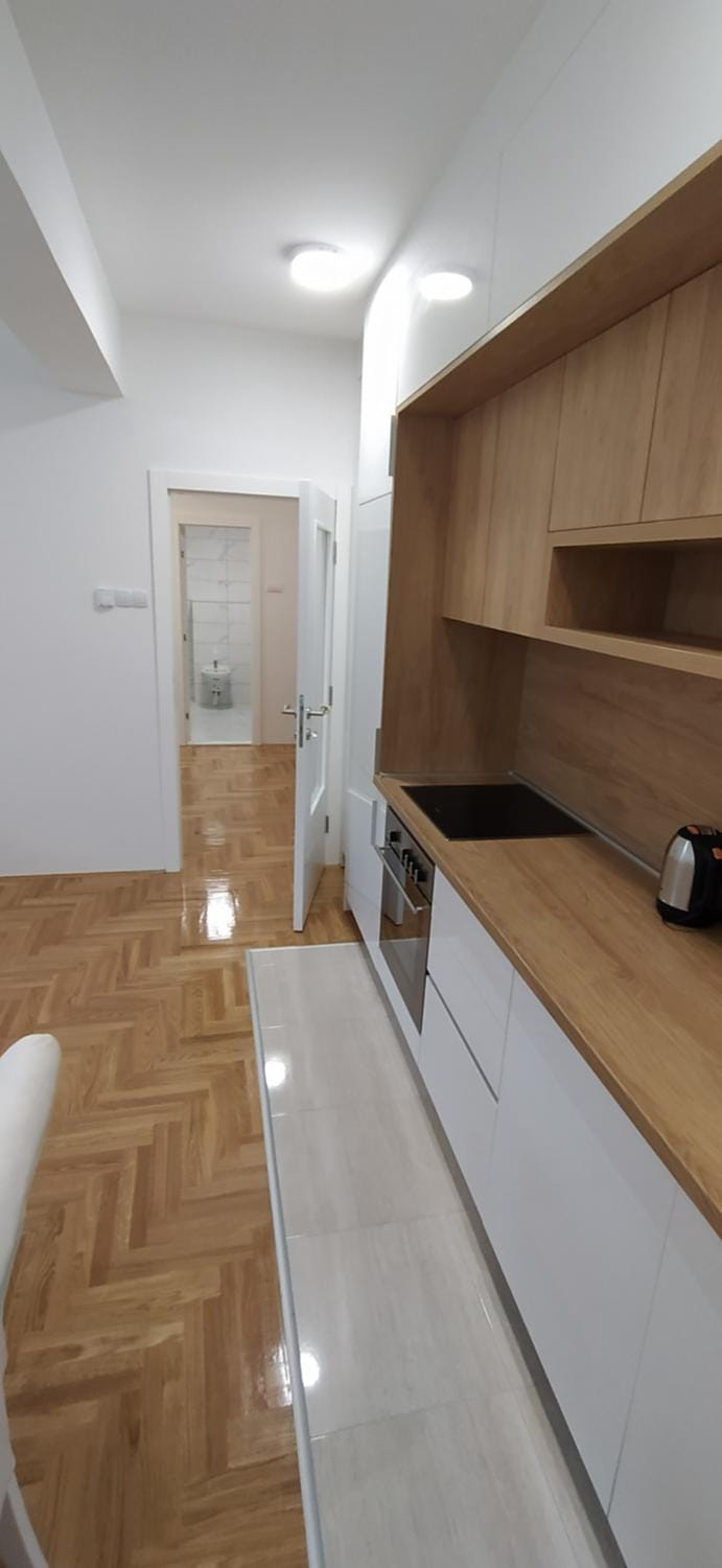 Leo Apartment Apartment in Dubrovnik-Neretva County