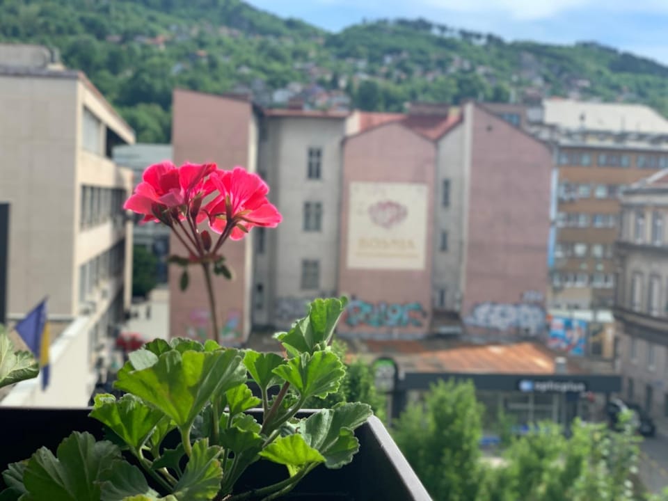 Youth Theatre Apartment Apartment in Sarajevo