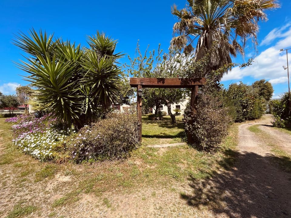 Spring, Day, Natural landscape, Garden, Garden view