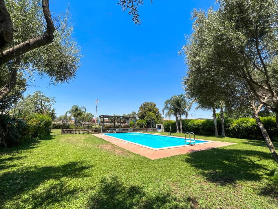 Day, Garden, Garden view, Pool view, Swimming pool, sunbed