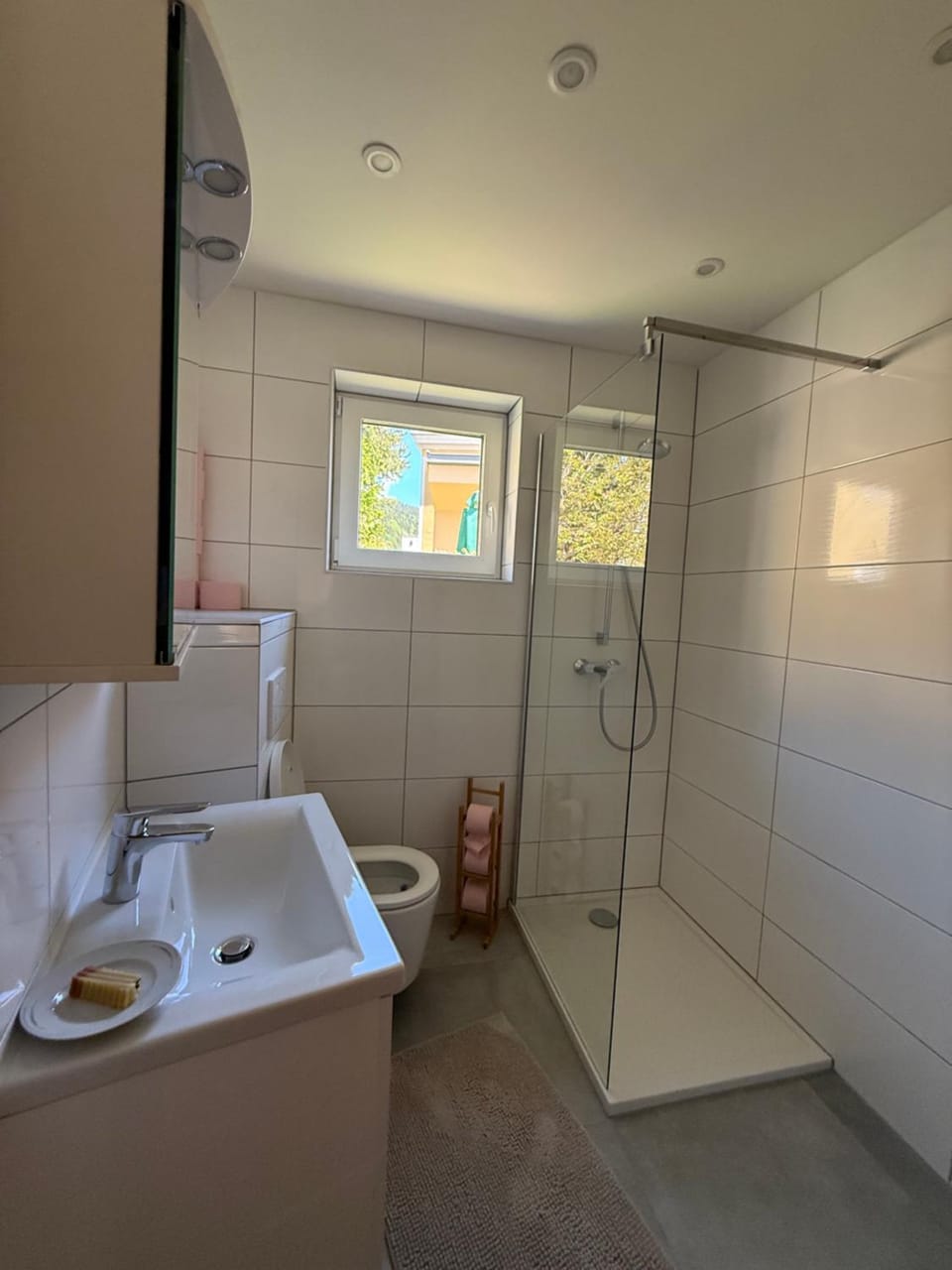 Ferienwohnung Max Apartment in Styria