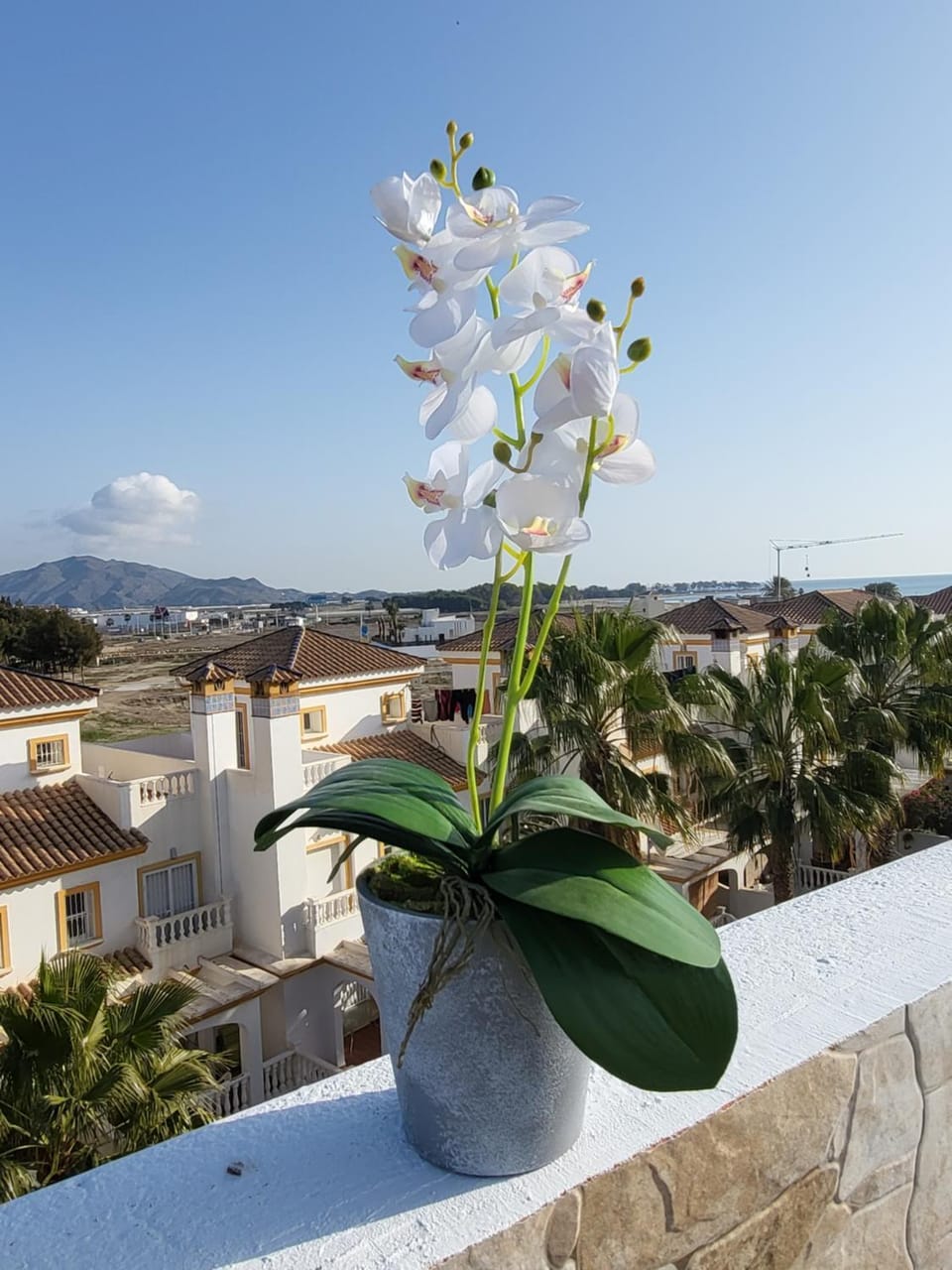 Balcony/Terrace, City view, Sea view, Street view