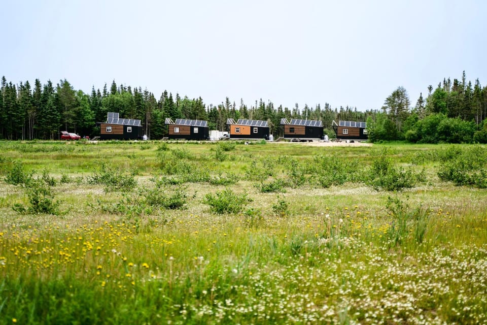Natural landscape