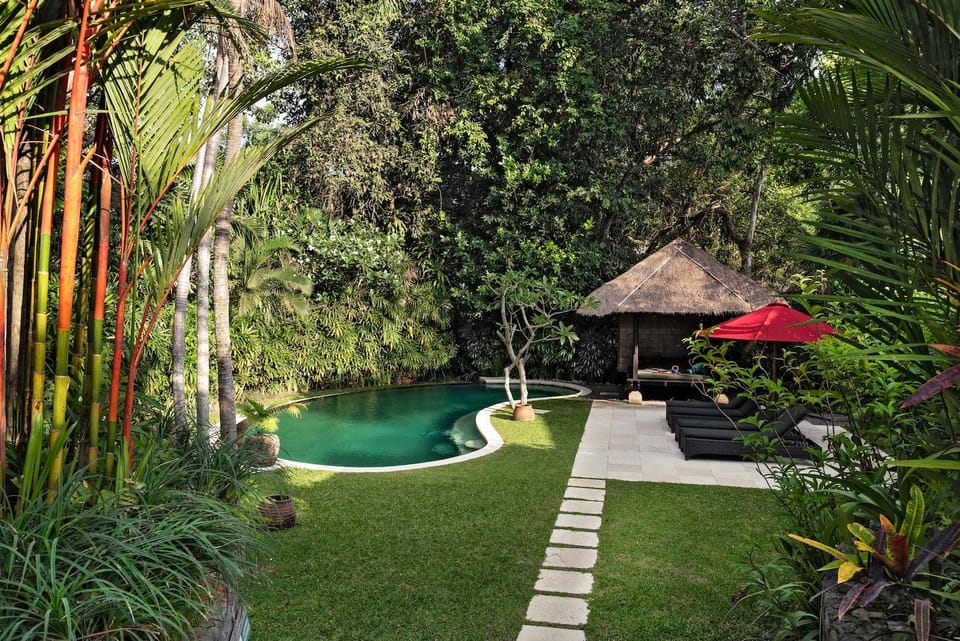 Garden, Garden view, Pool view, Swimming pool, Swimming pool, sunbed