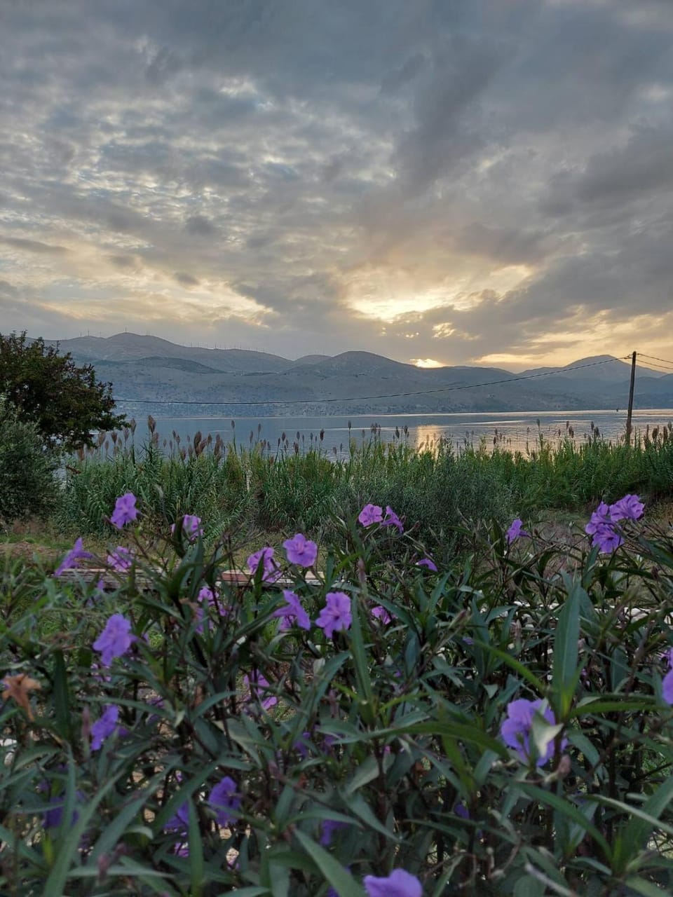 Natural landscape