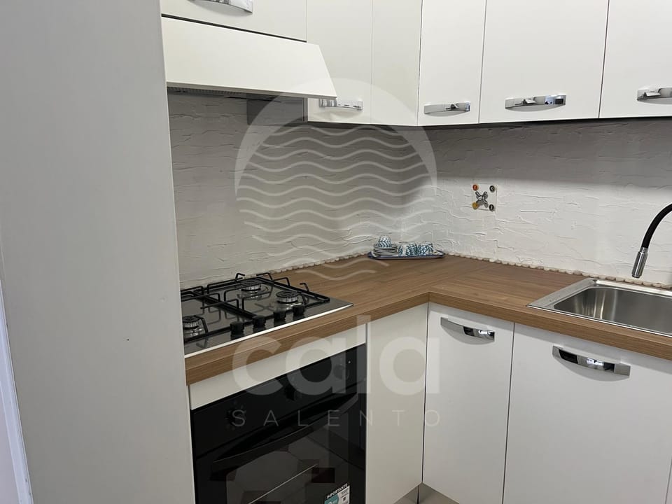Kitchen or kitchenette, dishwasher, stove