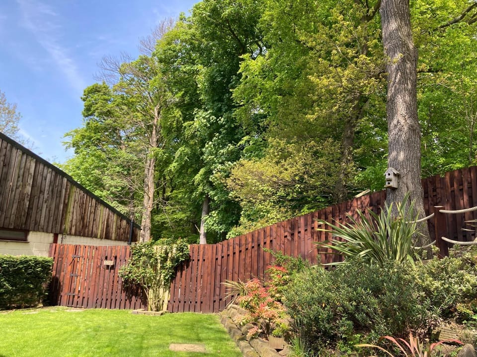Day, Natural landscape, Garden, Garden view