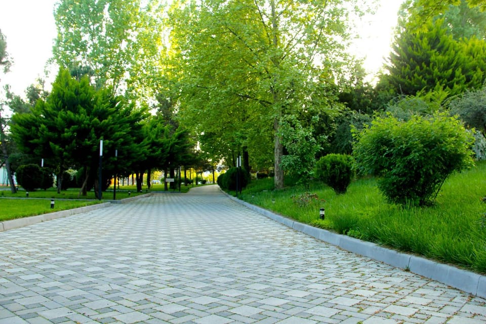 Natural landscape, Garden, Garden view