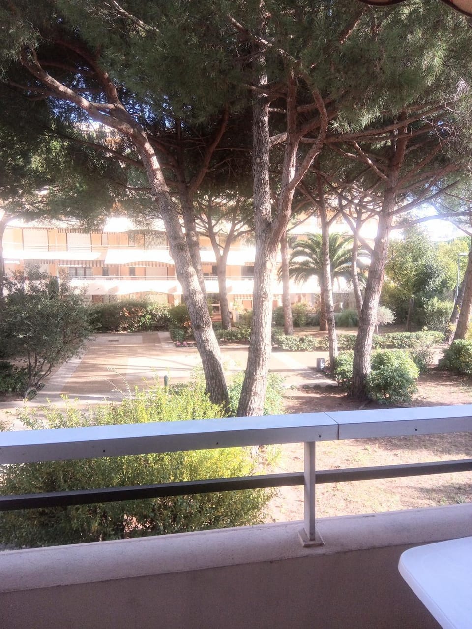 Garden view