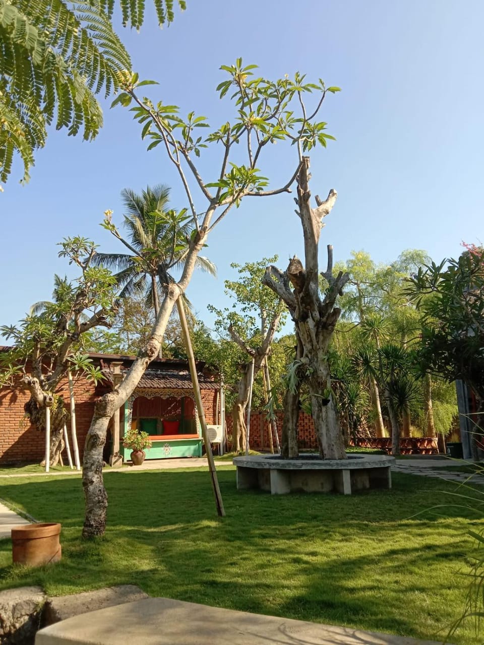 Garden, Garden view