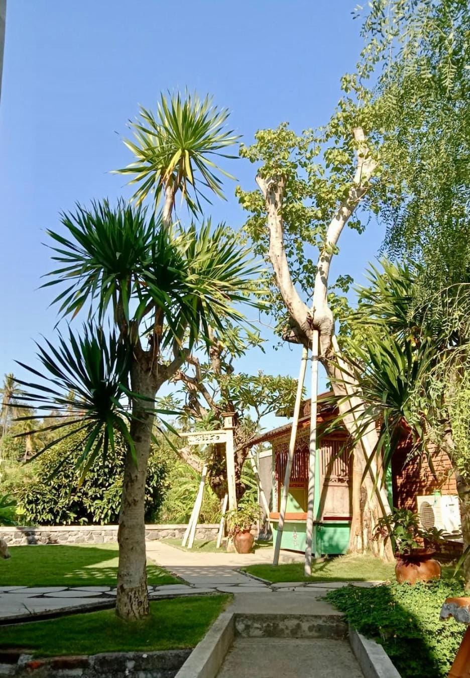 Day, Garden