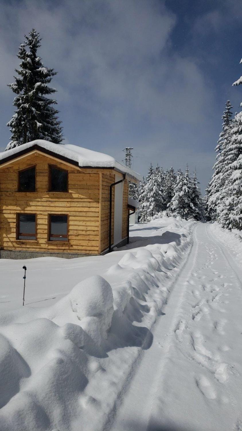 Property building, Winter, Skiing