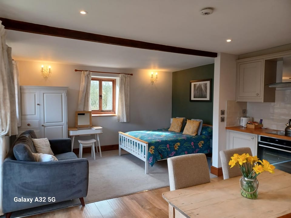 Bed, Kitchen or kitchenette, Living room, Photo of the whole room, Seating area, Dining area, Bedroom, stove