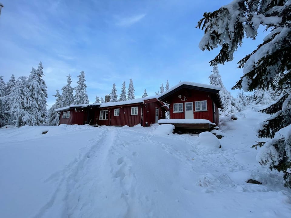 Property building, Winter