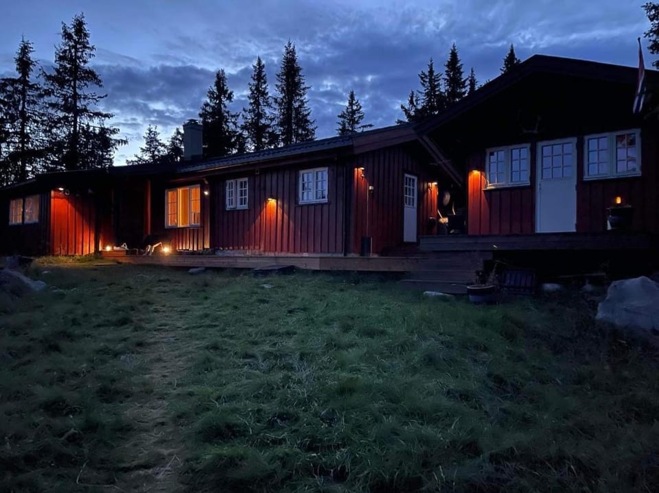 Property building, Night, Garden