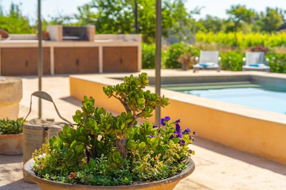 Pool view