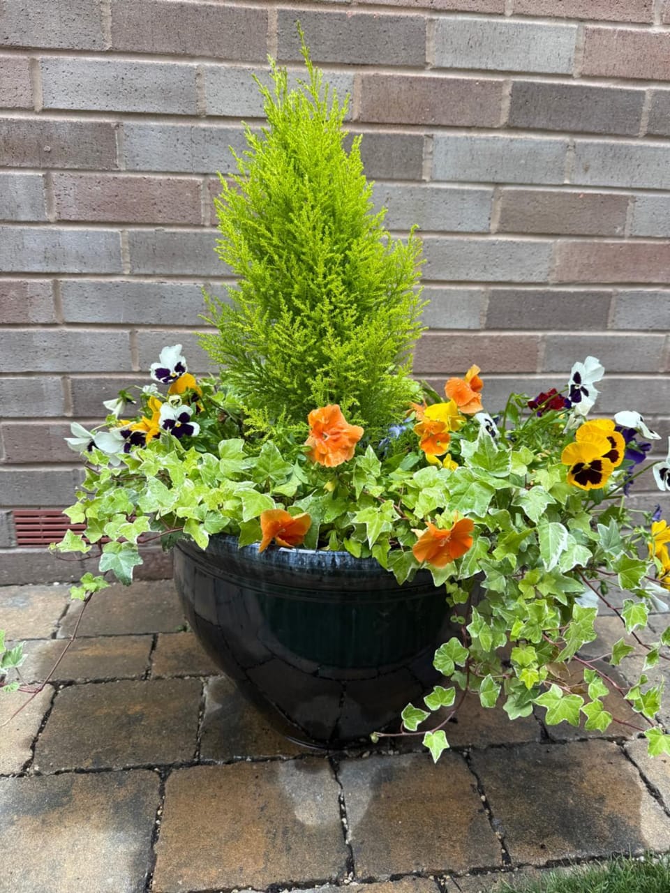 Patio, Spring, Day, Garden