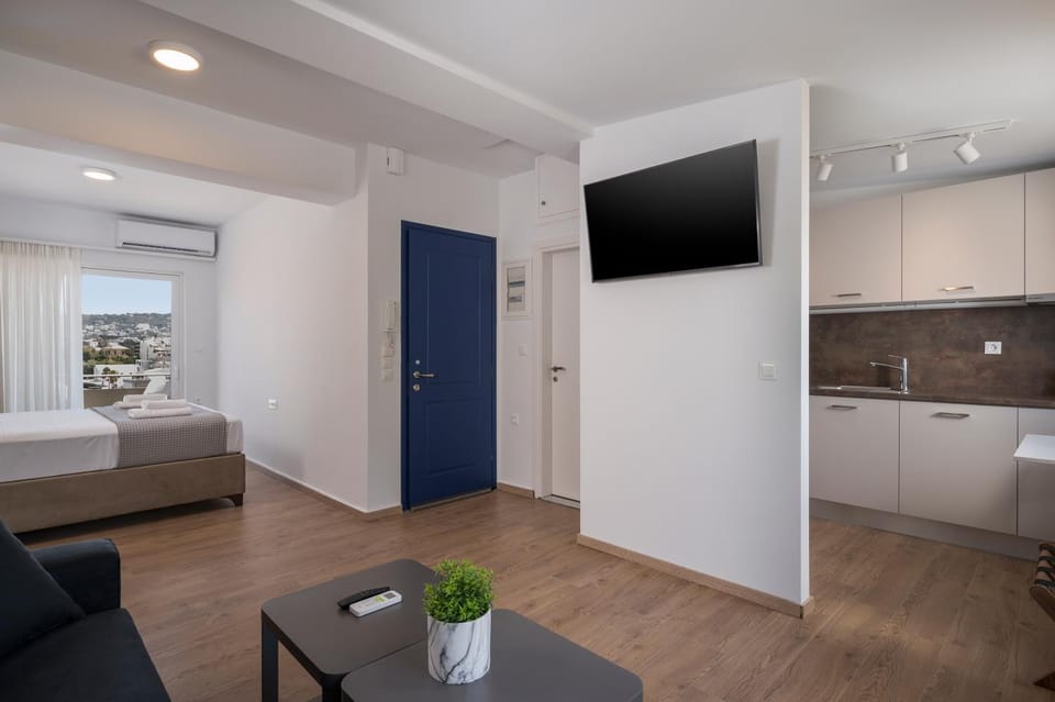 TV and multimedia, Kitchen or kitchenette, Living room, Photo of the whole room, Seating area, Bedroom