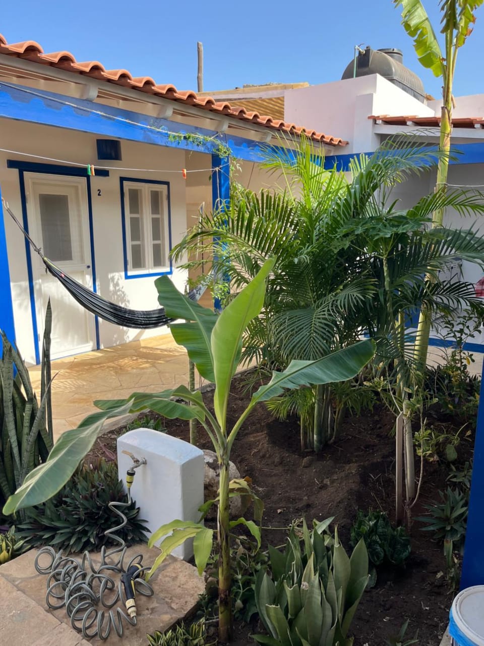 Garden, Garden, Garden view