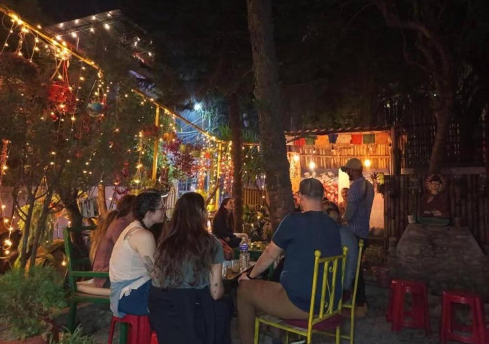Night, Garden, Garden view, group of guests
