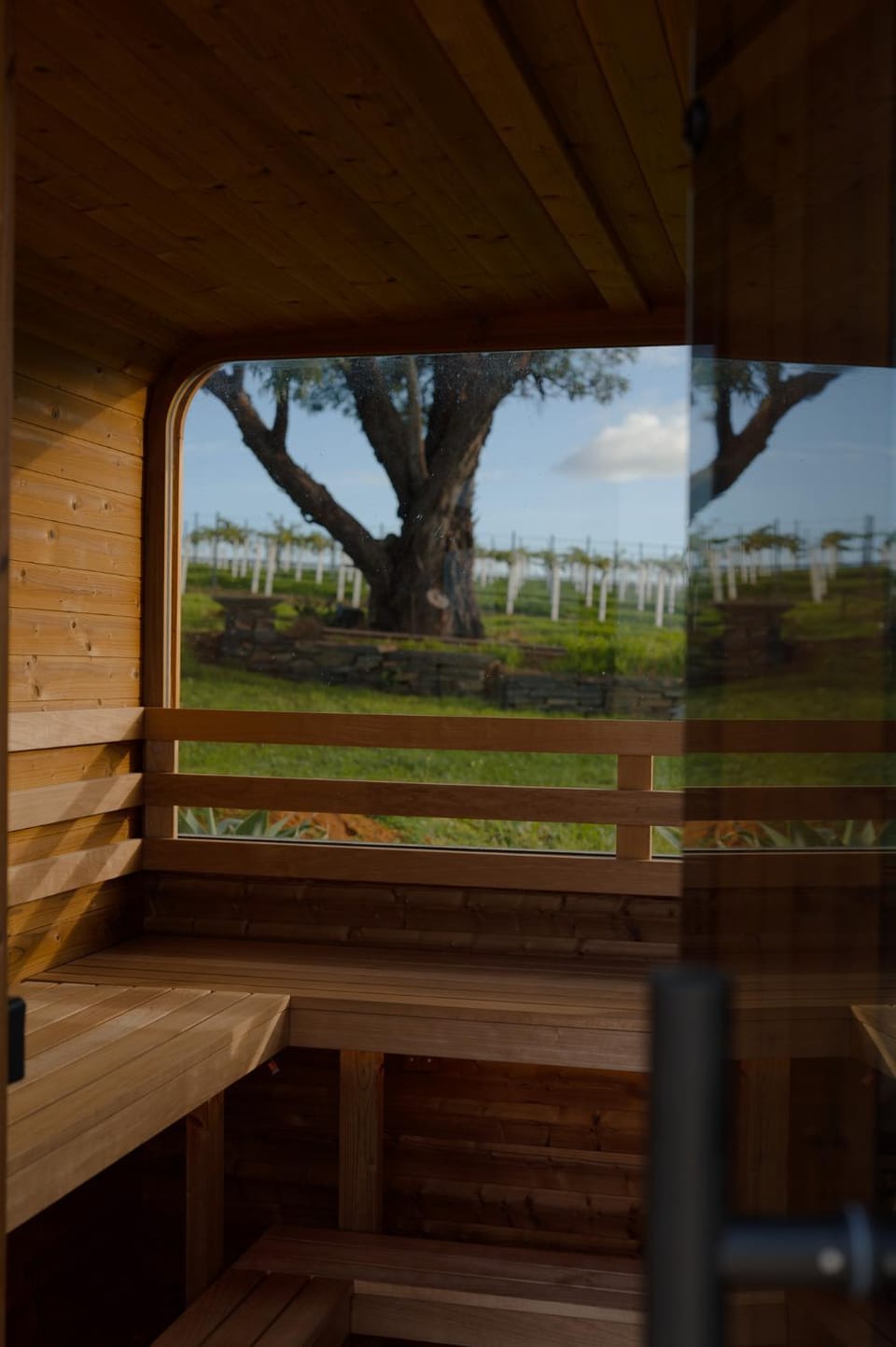 Miravino, winery stay with outdoor sauna and spa House in McLaren Vale