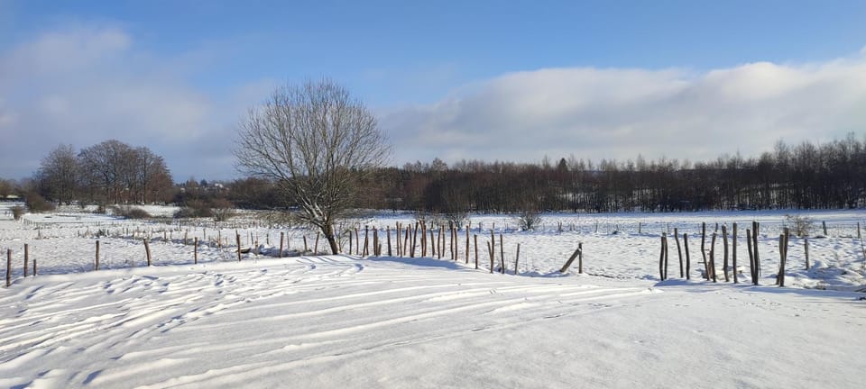 Winter