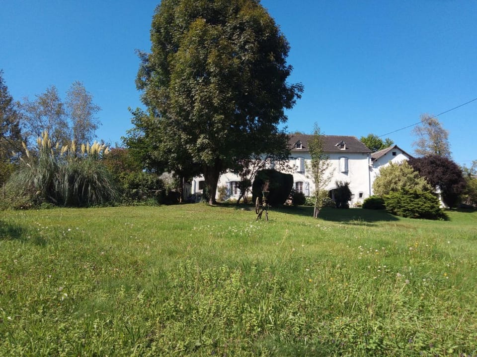 Garden, Garden view