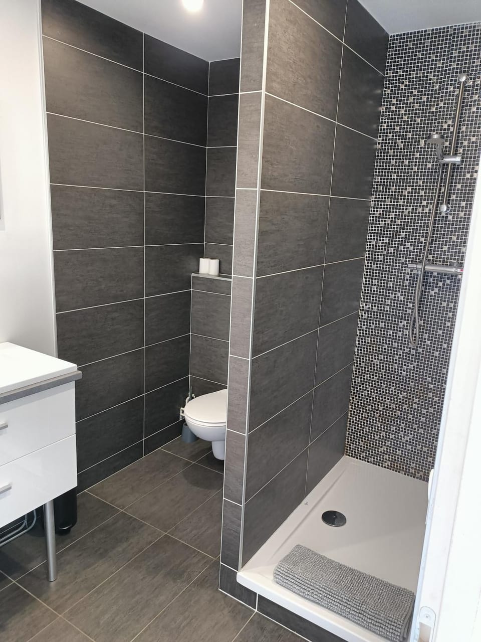 Appartement 30 m2 neuf + terrasse Apartment in Auvergne-Rhône-Alpes