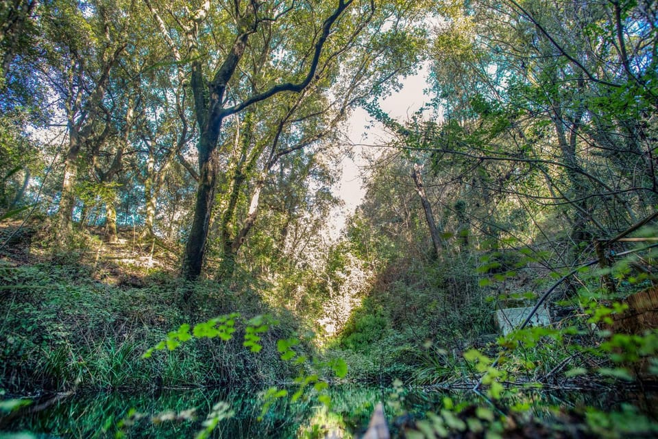 Natural landscape, Hiking