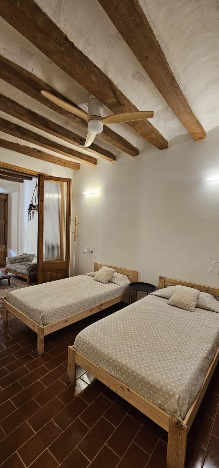 Pis amb molt d'encant al centre d'Olot Apartment in Olot