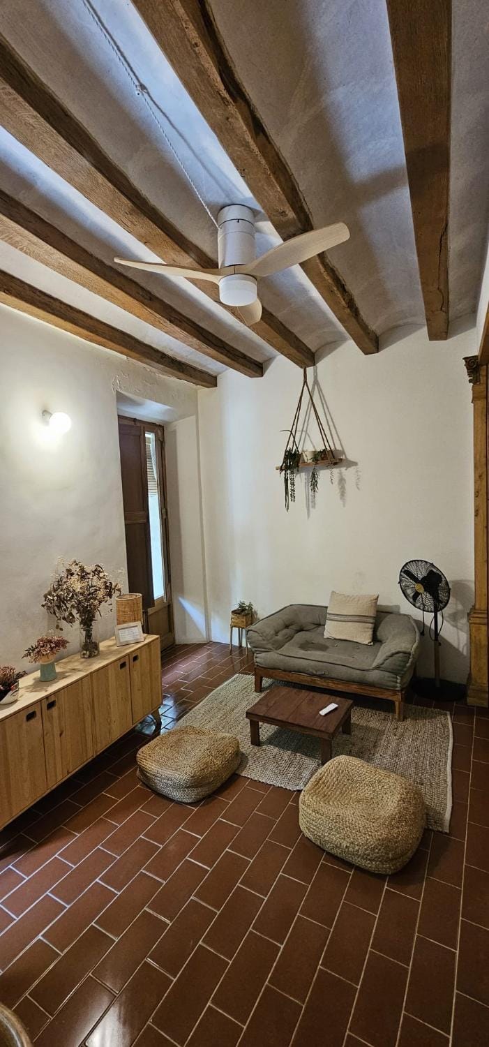 Pis amb molt d'encant al centre d'Olot Apartment in Olot