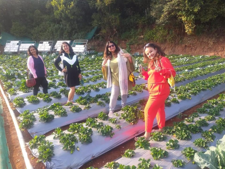 Woodland farm vila Bed and Breakfast in Maharashtra
