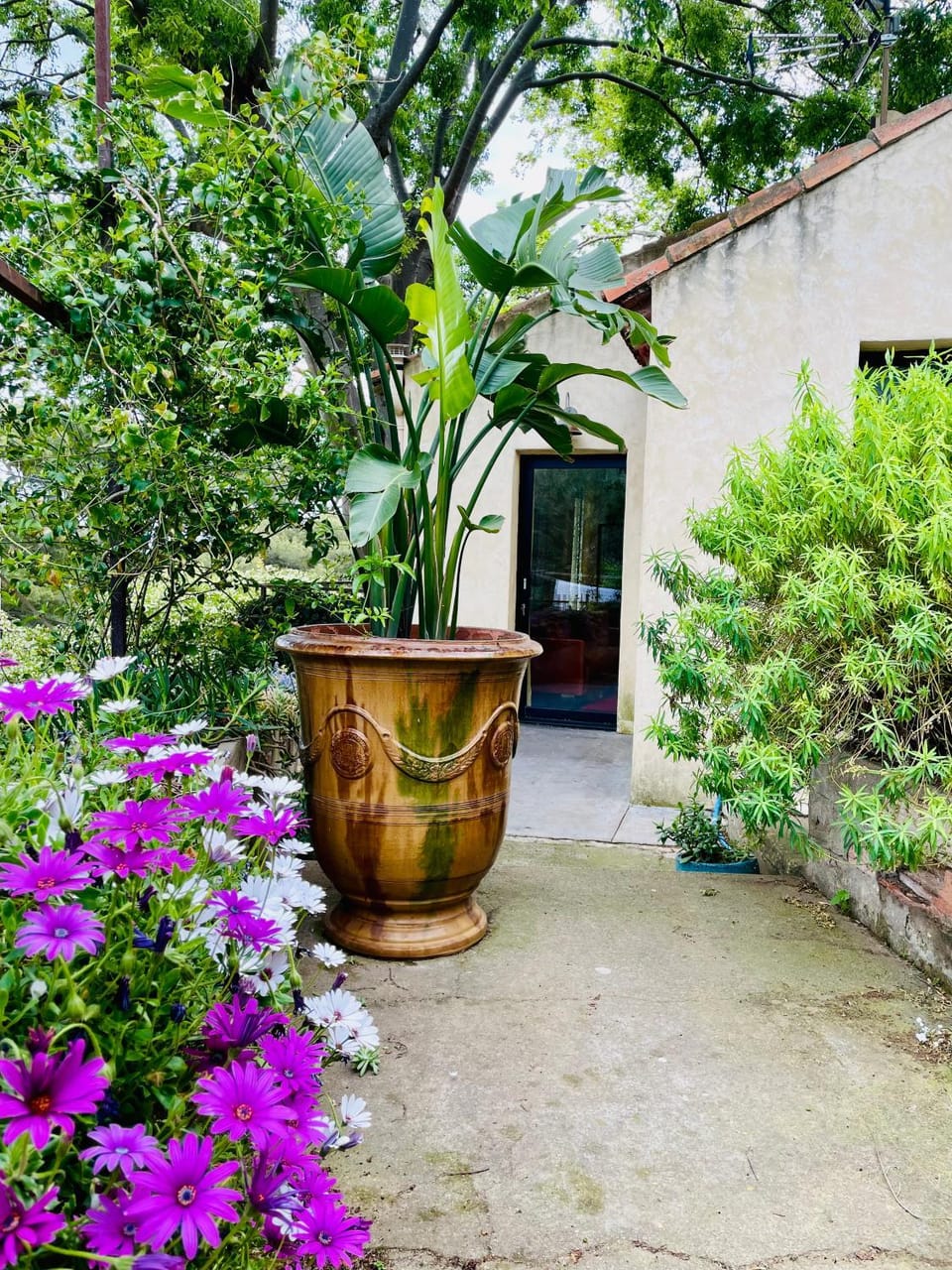 Spring, Garden