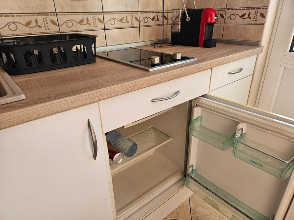 Kitchen or kitchenette, minibar, stove