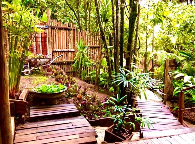 Natural landscape, Garden, Garden view