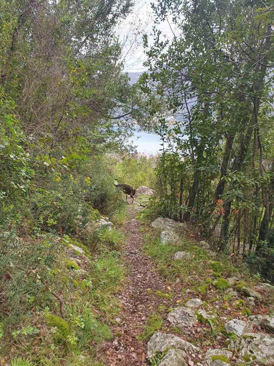 Natural landscape